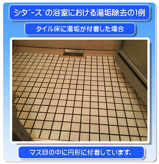 バスクリーニング 神奈川 横浜 川崎 大和市 海老名市 などの浴室クリーニングはシダーズまで!!