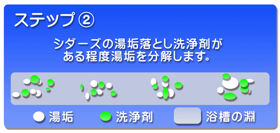 バスクリーニング 神奈川 横浜 川崎 大和市 海老名市 などの浴室クリーニングはシダーズまで!!