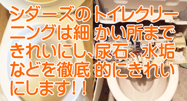 トイレクリーニング 横浜 川崎 神奈川 東京
