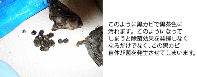 洗濯機クリーニング　神奈川県　横浜市　川崎市　大和市　海老名市　藤沢市　洗濯槽クリーニング