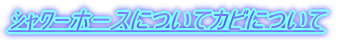 ��ܰ�z�[�X�ɂ��ăJ�r�ɂ���