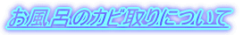 �����C�̃J�r���ɂ���
