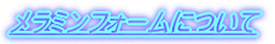 �����~���t�H�[���ɂ���