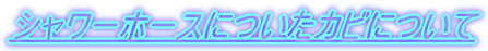�V�����[�z�[�X�ɂ����J�r�ɂ���