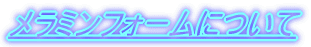 �����~���t�H�[���ɂ���